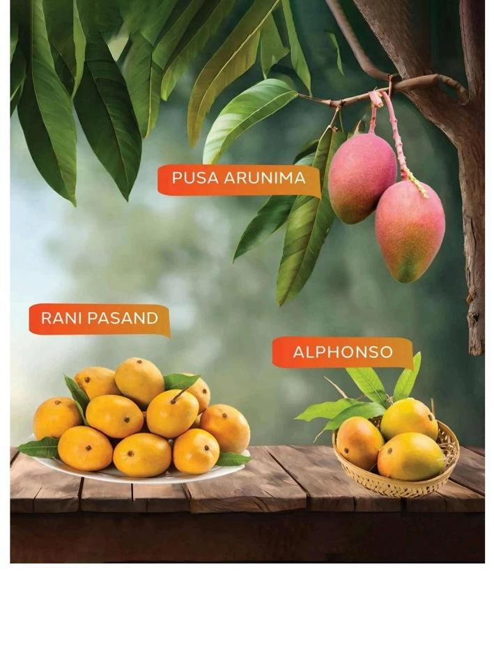 Al Jazira Supermarket Mango Fest