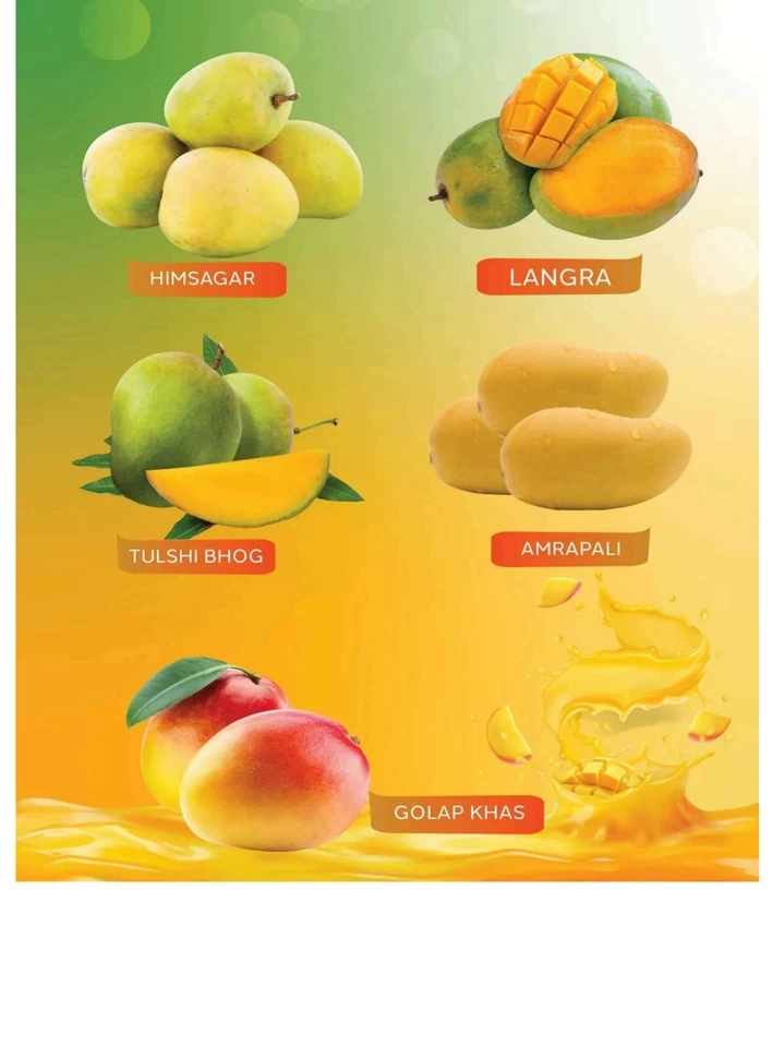 Al Jazira Supermarket Mango Fest