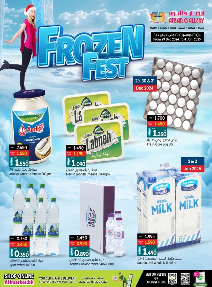 Ansar Gallery Frozen Fest