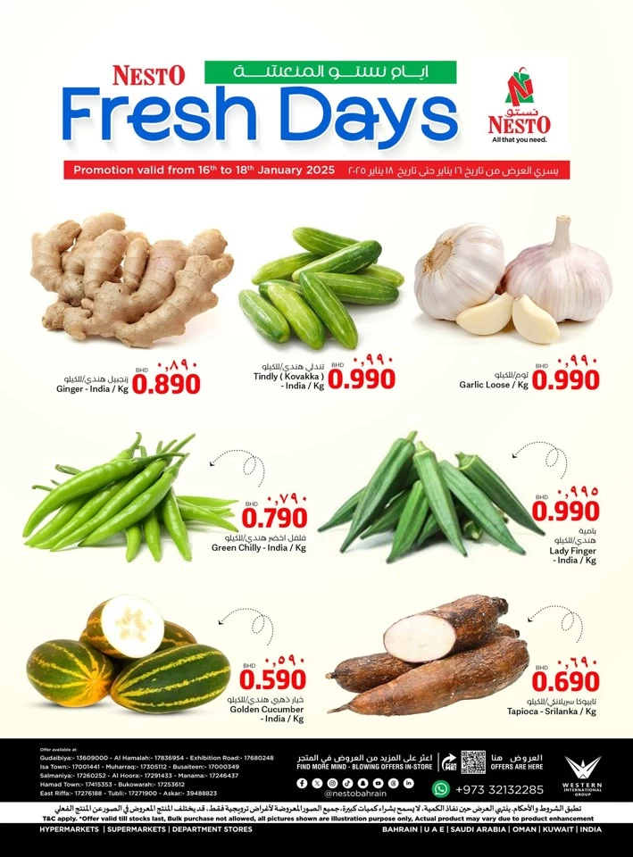 Nesto Fresh Days Offer