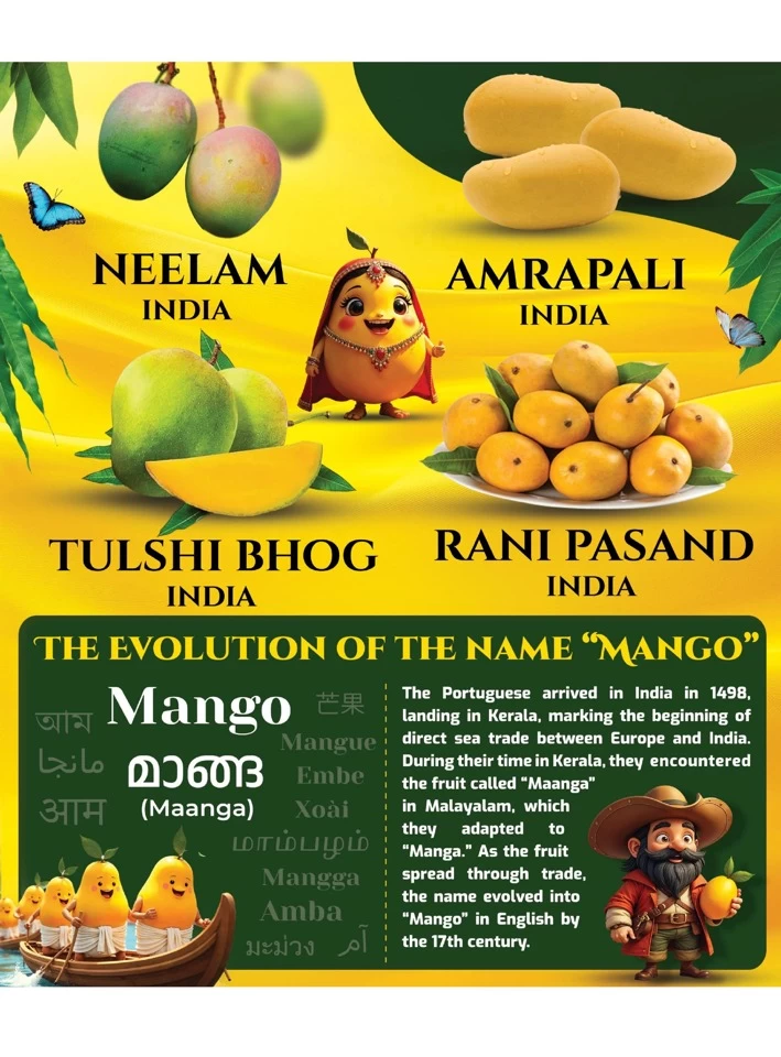 Al Jazira Supermarket Mango Fest