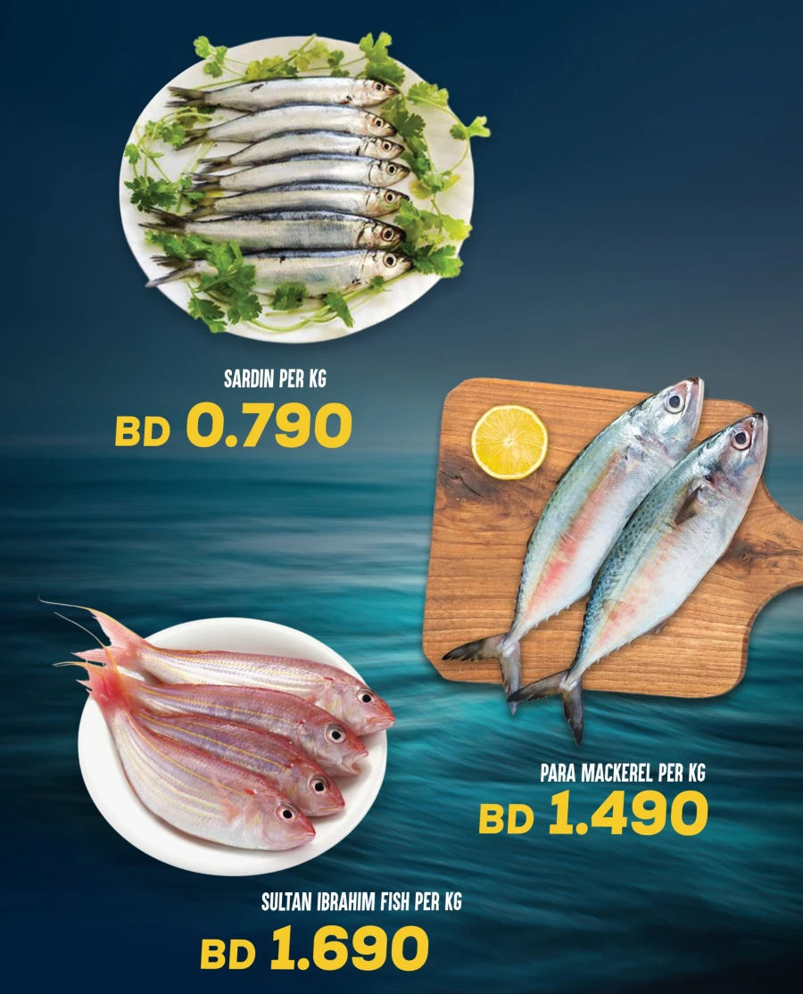 Al Jazira Best Buy Offer
