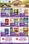 Mega Mart Rice Fest