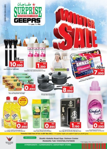 Surprise Department Store Winter Sale