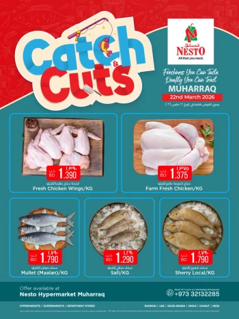 Nesto Catch & Cut Offer 